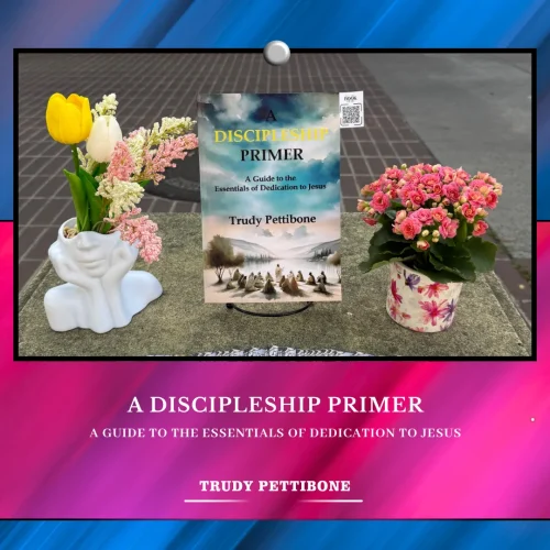 Where Stories Meet the World Through A Discipleship Primer: A Guide to the Essentials of Dedication to Jesus by Trudy Pettibone