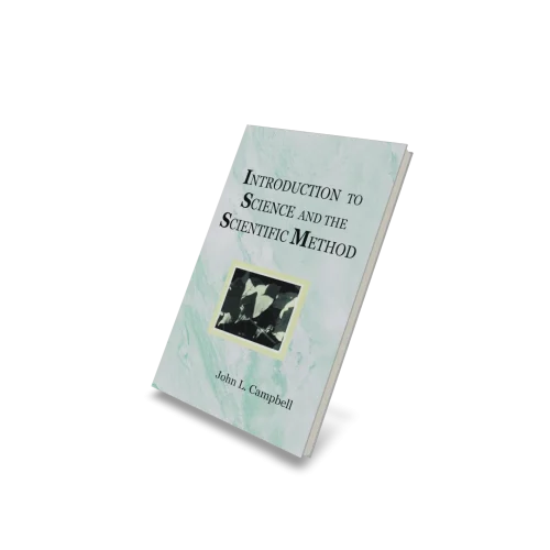 mockupea_export (27)